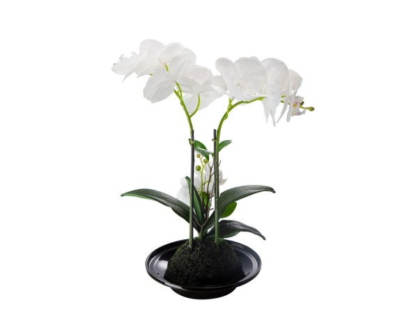 Artekko Orchid Τεχνητή Λευκή Ορχιδέα σε Μαύρο Κασπώ (32x15x34)cm