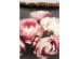 Μαξιλάρι Blush Roses Πολύχρωμο 45x45 εκ. 45x15x45εκ - Πολύχρωμο