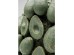 Βάζο Επιτραπέζιο Avocados Πράσινο Πήλινο 24x23,5x30,5 εκ. - Πράσινο