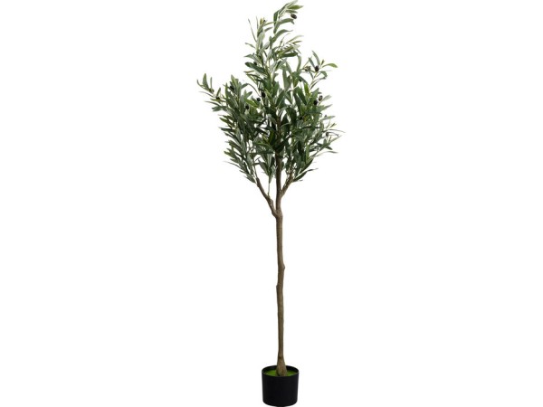 Τεχνητό Φυτό  Olive Tree Πράσινο 150*60*60εκ. - Πράσινο