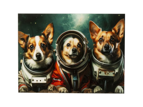 Glass Picture Astronauts Dogs 80x60cm - Πολύχρωμο