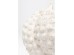 Deco Vase Anemone White 26cm - Λευκό