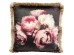 Μαξιλάρι Blush Roses Πολύχρωμο 45x45 εκ. 45x15x45εκ - Πολύχρωμο