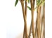 BAMBOO IN POT (L90*W30)  NP827_180_UV  ΥΨΟΣ 180cm NewPlan