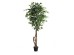 FICUS TREE NP5209_180  ΥΨΟΣ 180cm NewPlan