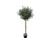 OLIVE TREE NP5807_150_22_UV ΥΨΟΣ 150cm NewPlan