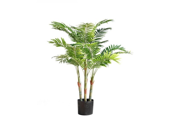 PALM TREE  NP5336_122  ΥΨΟΣ 122cm NewPlan