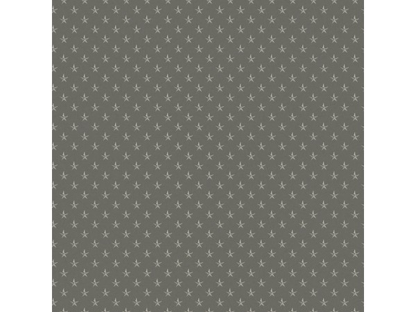 Ταπετσαρία Τοίχου Stars Dark Grey-Silver